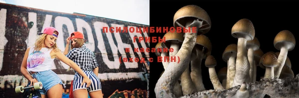 мескалин Ладушкин
