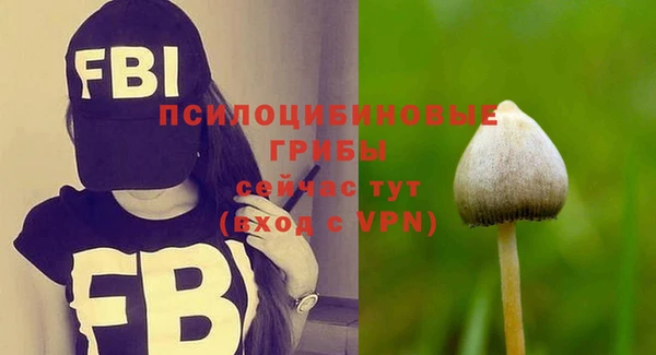 не бодяженный Липки